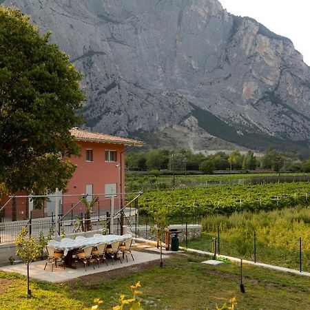 Holiday Apartments Giulia - Green Pietramurata Dış mekan fotoğraf